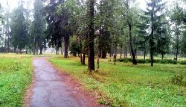 Покупка земельного участка и стройка Оздоровительного Санатория