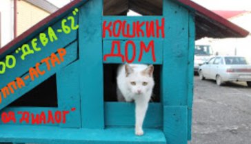 Кошкин дом