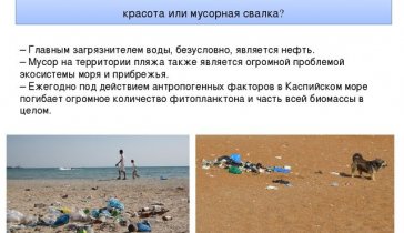 спасите побережье