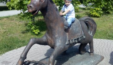 Для сына