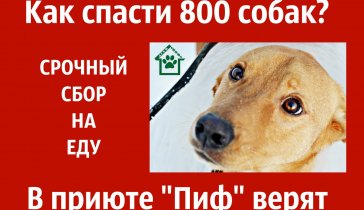 Для корма бездомных животных в приюте.