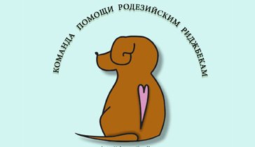 Прошу помощи в оплате передержки бездомных собак.