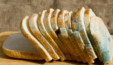 Аппарат для стерилизации продуктов питания.