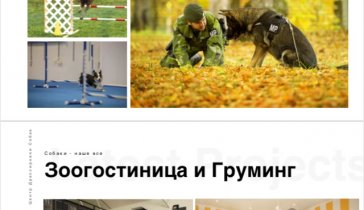 Центр дрессировки собак