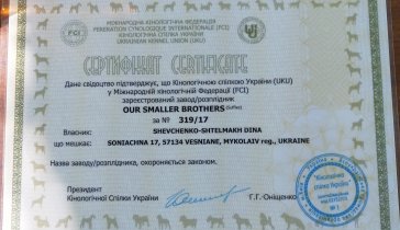 Нужна помощь