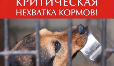 КРИК О ПОМОЩИ