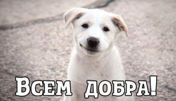Подарок маленькому сыну