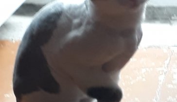 срочно нужна помощь