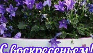 Очень нужна помощь