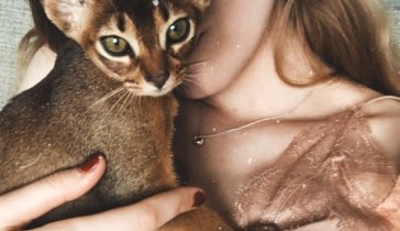 Просим помощи на лекарства для спасения котенка