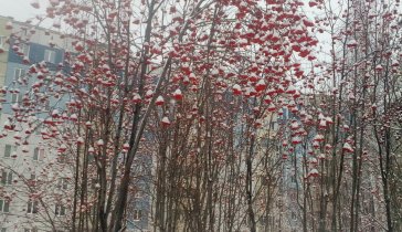 Помогите закрыть долг в пенсионный фонд