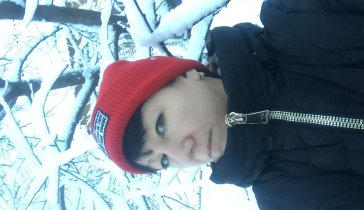 Мечта жизни