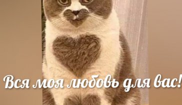Помогите пожалуйста