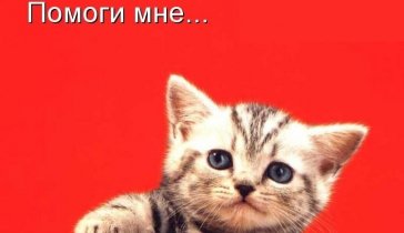 Оплата аренды жилья