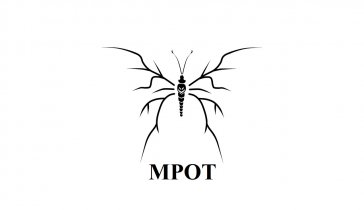 МРОТ