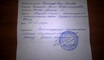 Нужна помощь на операцию именно сегодня. Прошу помощи люди не будьте черсвыми.