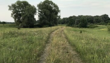 Душит долговая яма. Помогите пожалуйста.