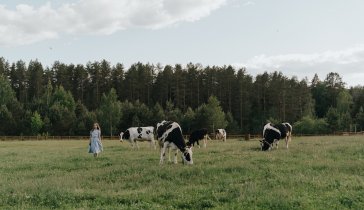 Сельское хозяйство.