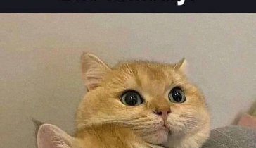 На подарок