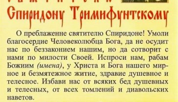 Помощь девушке потеря документов