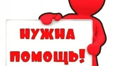 Срочный сбор