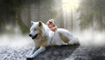 Издание книги
