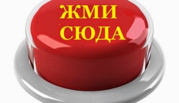 Помогите пожалуйста собрать на бизнес