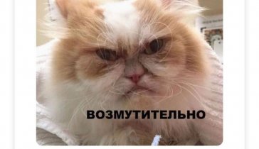 НЕ хватает денег в связи с войной