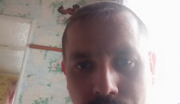 На погашение микрозаймов