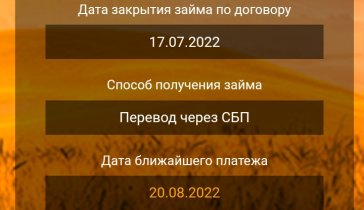 Погасить долги в 11 мфо