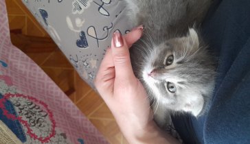 НУЖНА ФИНАНСОВАЯ ПОМОЩЬ