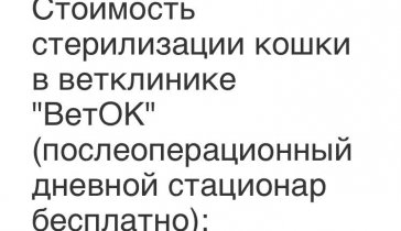 Помощь в стерелизации кошке Груше