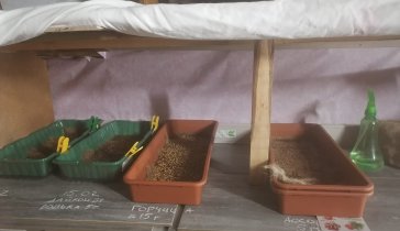 Срочно собираю средства, НЕ БЕЗВОЗМЕЗДНО