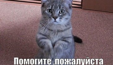 Прошу вас на покушать молю вас люди