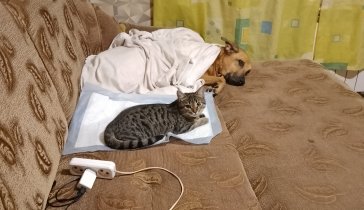 Лечение