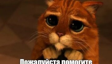 Заплатить за квартиру (аренда 25-го числа)