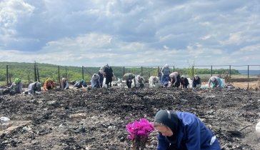 Восстановление храмового комплекса