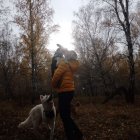 Алиса Жданова
