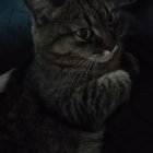 Евгений