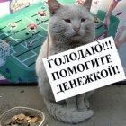 Антон