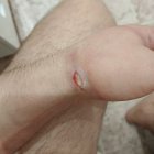 Андрей