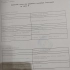 Полина