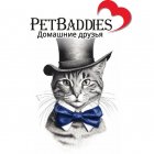 PetBaddies срочный сбор