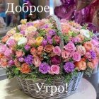 Мила