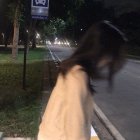 deadly stroke