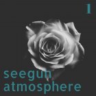seegun