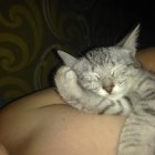 Александр