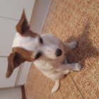 Артемий