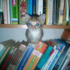 Оксана