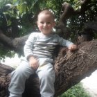 Дима